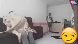Joke couple