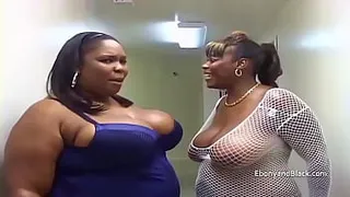 Heavyweight black BBW's suck on white cock
