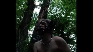 2024 09 04 Slave F the ponygirl in the forest