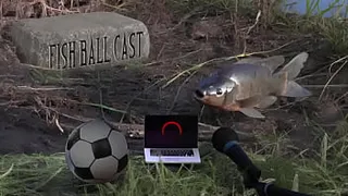 Members of Jogofoddaci taking it up the ass on their own podcast