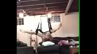 SEX SWINGS, 30 INCH DILDOS & ASS GAPING
