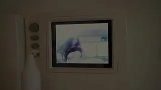 Melody always knows how to make herself known on the intercom