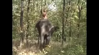 Selen the elephant queen 1997