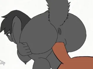 Furry Animations - Explicit Content