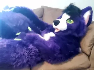 Furry Solo Play - Intimate Fursuit Stroking - Sexy Female - Soft Porn