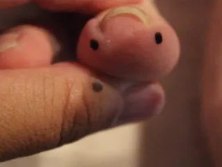 Axolotl XXX Hardcore