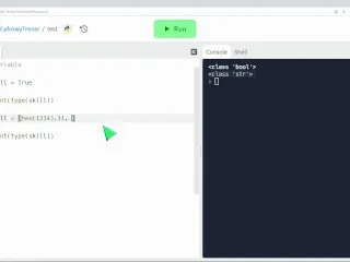 Step-by-step Python Variable Sex Scene