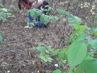 Girl Pisses in Forest, Lesbian Oral Action