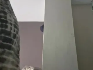 Twerking on Bed Before Nightfall (Pornstar Names)