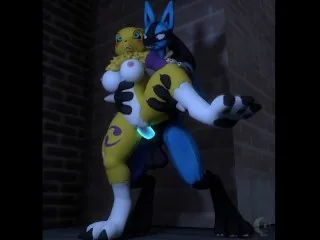 Lucario, Renamon - Hardcore Action