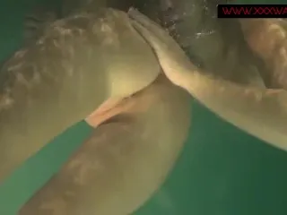 Lesbians Underwater Sex Action