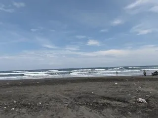 Idiot Fucking Beach Babe