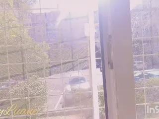 Neighbor's Dog Toys in Action 🔥