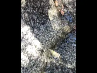 MILF, 40 yrs old, Outdoor Pee & Hot Shave Pussy on Hike