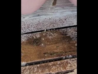 Outdoor Pee Fetish: XXX Stepside