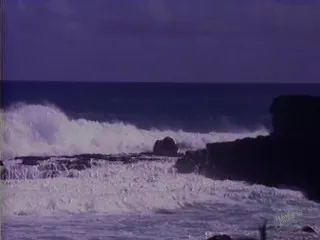 Beach Blowjob Intense