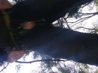 Nature Trails Public Fucking & On-Camera Cumshot