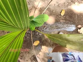 Small Palm Tree Pee'd On (Golden Tropical Shower)