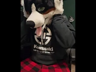 Brand New Fursuit Destroyed Hardcore