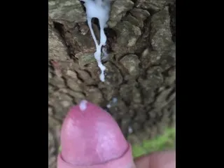Intense Hornyyy Hardcore Action
