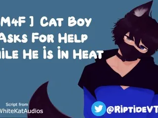 [Catboy in Heat M4F] Needs Assistance - Urgent