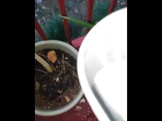 Nightly Wet & Sexy Watering Session