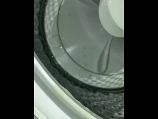 Peeing in Washer Machine - XXX Scene