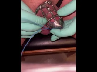 Jenny's Permanent Chastity: Sissycock in Cage