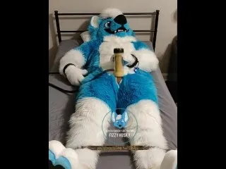 Murrsuiter Self Strokes