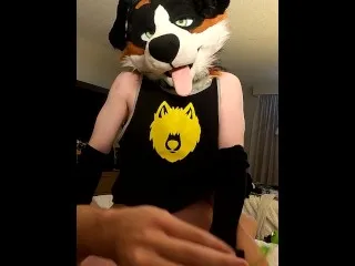 Handless Furry Fuck Fest Cumming