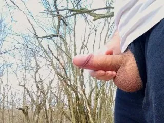 Big Cock, Huge Balls, Forest Orgy - IAMHORNYBOBO