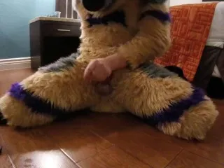 Fursuiter Banded Gshep Unleashes Passion