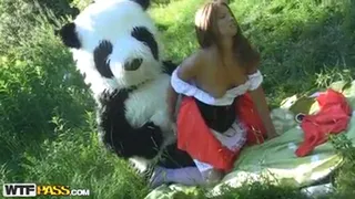 Sexy babe fucks panda mascot in woods