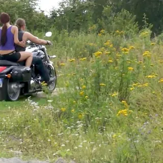 Wild Biker Orgy Couple