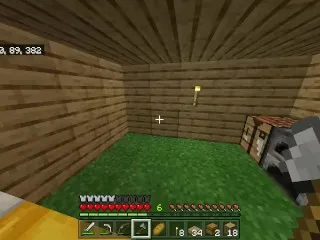 Minecraft Ep 2: Hardcore House Construction