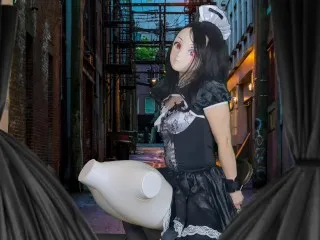 Aibu. Alley Hentai Maid Onahole